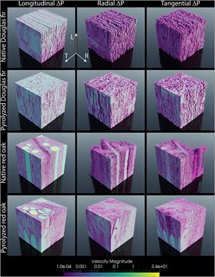 Measurement of Transport Properties of Woody Biomass Feedstock Particles Before and After Pyrolysis by Numerical Analysis of X-Ray Tomographic Reconstructions